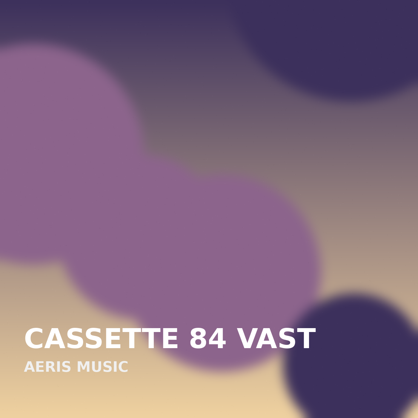 Cassette 84 Vast cover